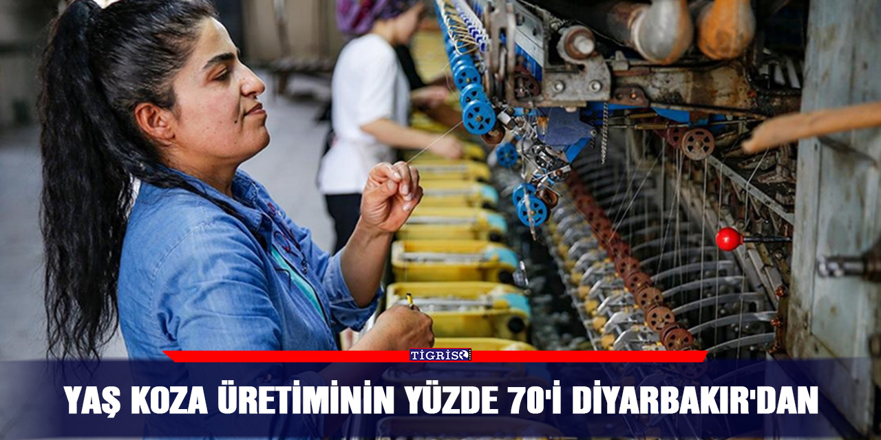 Yaş koza üretiminin yüzde 70'i Diyarbakır'dan