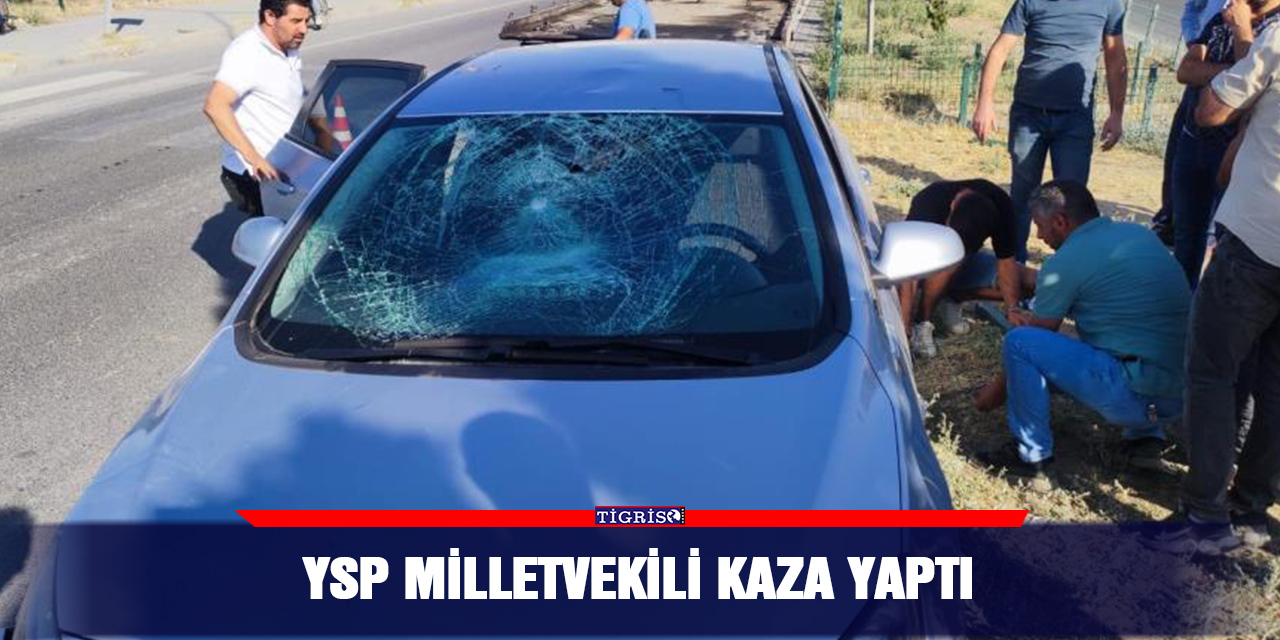 YSP Milletvekili kaza yaptı
