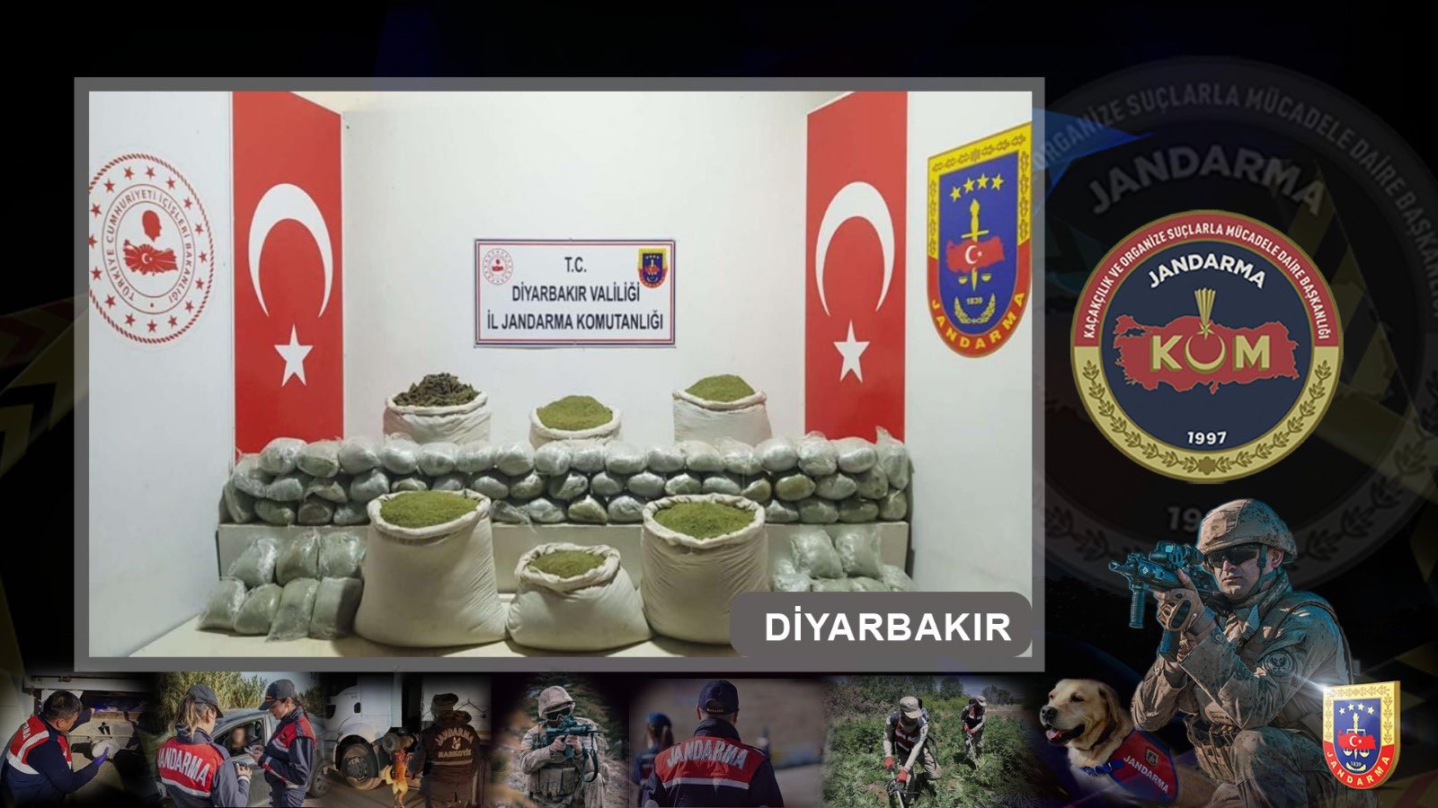 Diyarbakır’da 1 milyon 260 bin kök kenevir ele geçirildi