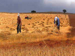 Küçük işletmelere müjde