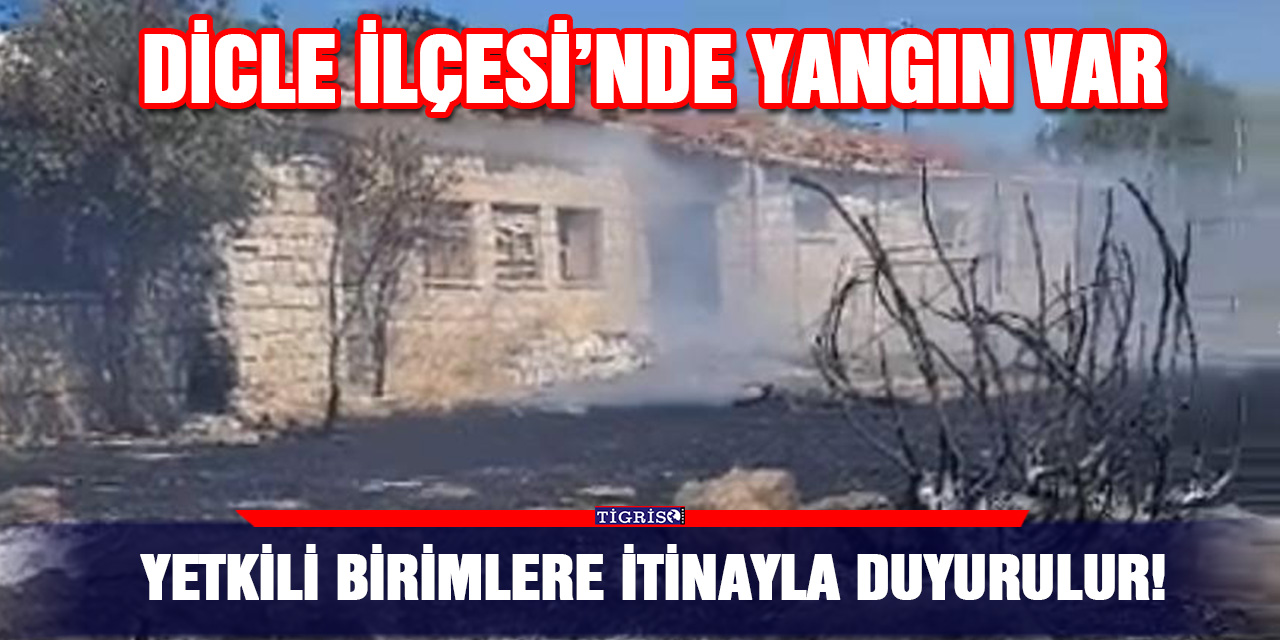 VİDEO - Yetkili birimlere itinayla duyurulur! Dicle İlçesi’nde Yangın var