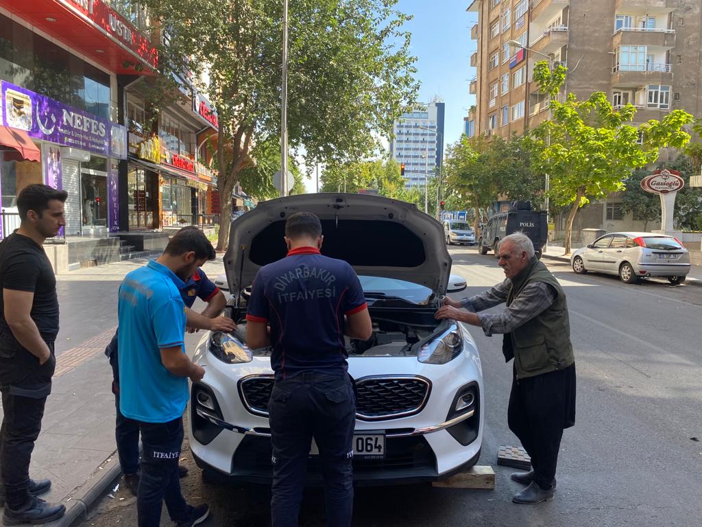 Diyarbakır'da kedi kurtarma operasyonu