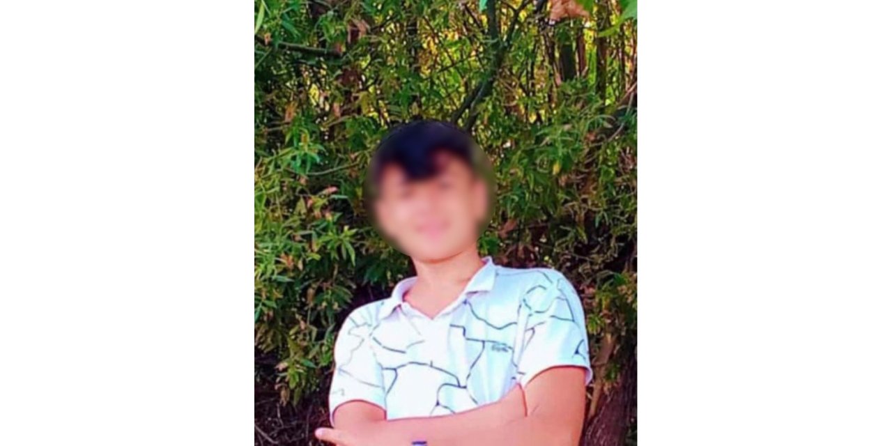 Silvan'da otomobil yayaya çarptı