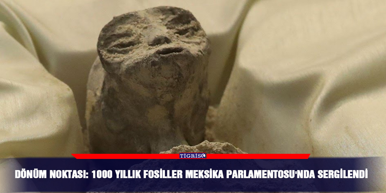 VİDEO - Dönüm noktası: 1000 yıllık fosiller Meksika Parlamentosu'nda sergilendi