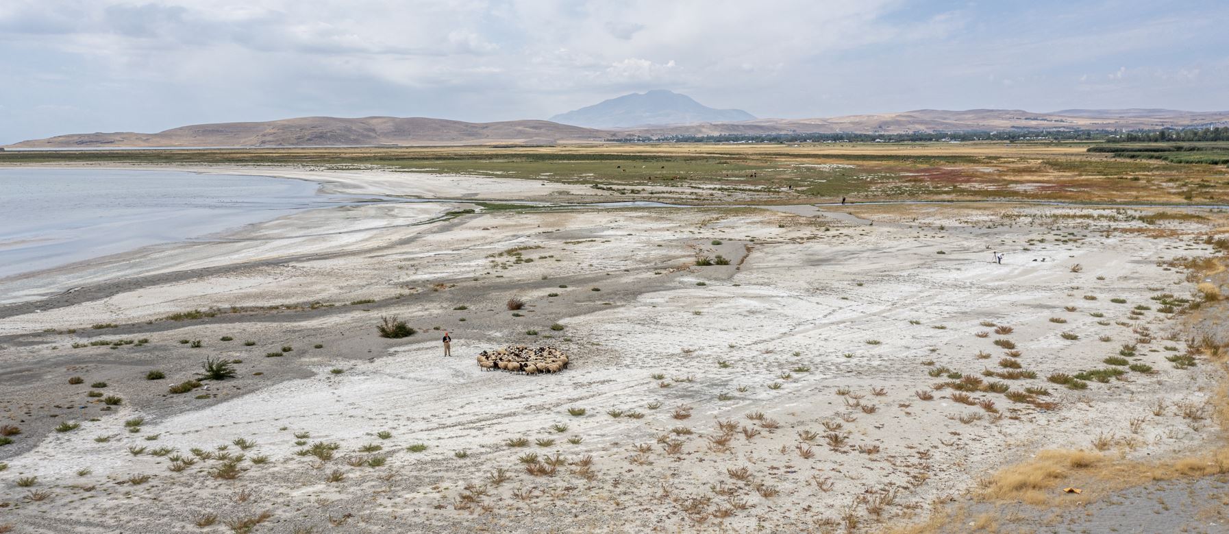 Van Gölü S.O.S veriyor