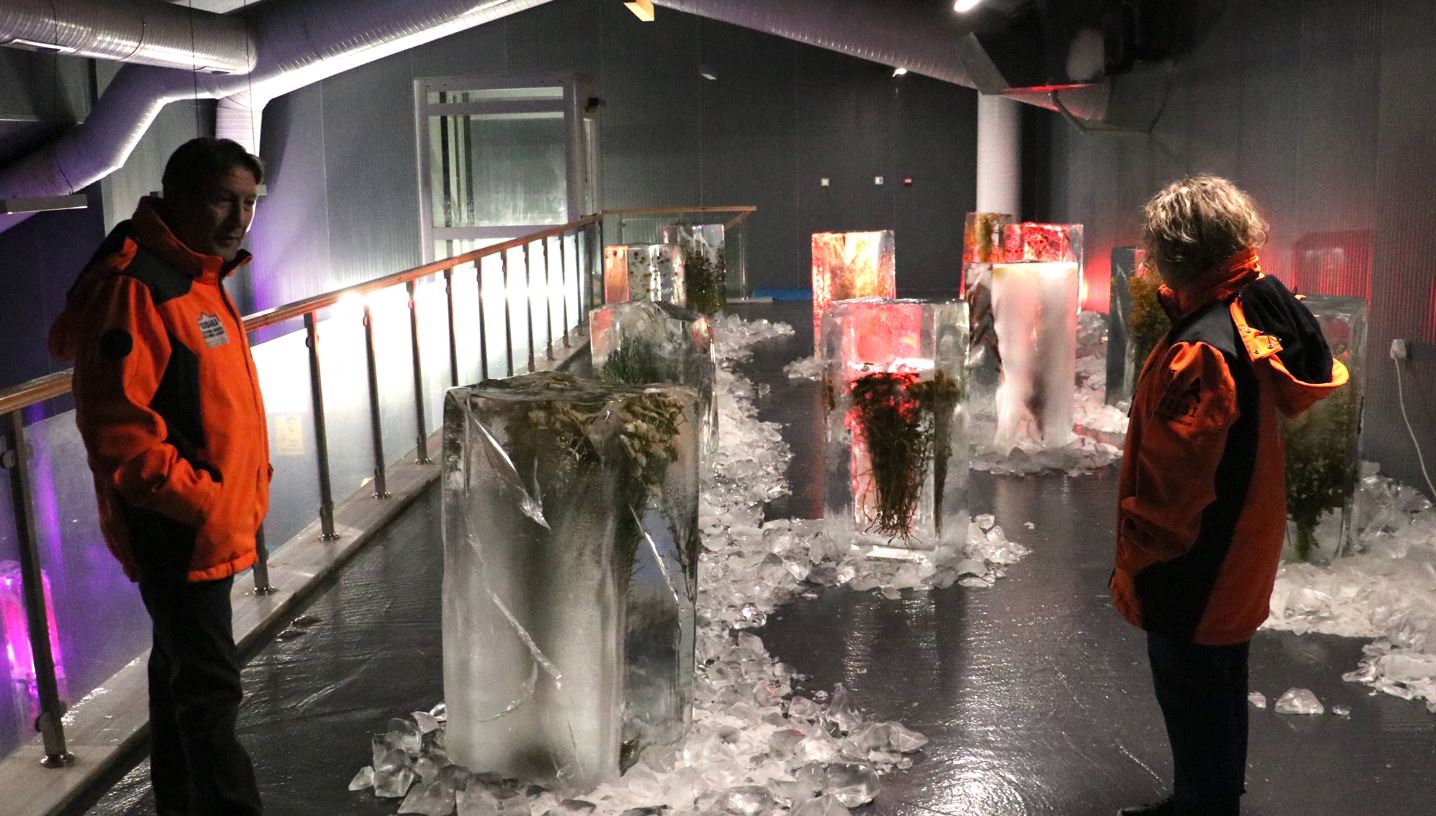 "Buz içindeki bitkilerle" küresel ısınma anlatıyorlar