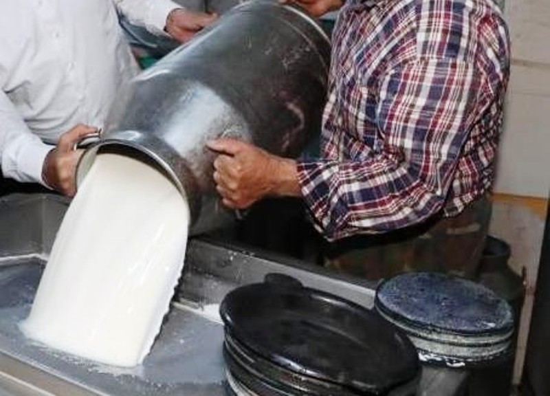 Ticari süt işletmelerince 835 bin 773 ton inek sütü toplandı