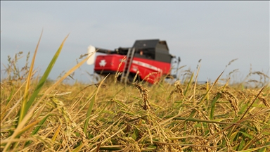 Tarımda "sözleşmeli üretim yönetim sistemi"
