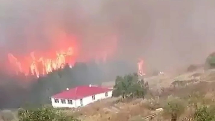 Dört ayrı kentte orman yangını