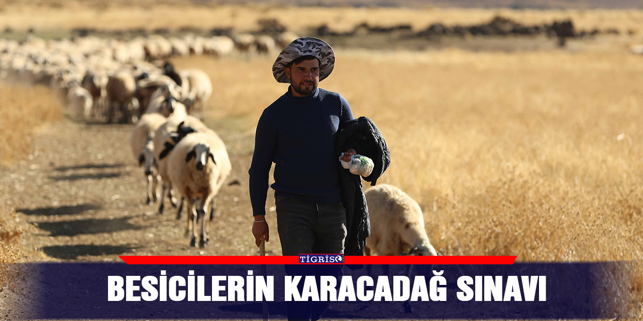 Besicilerin Karacadağ sınavı