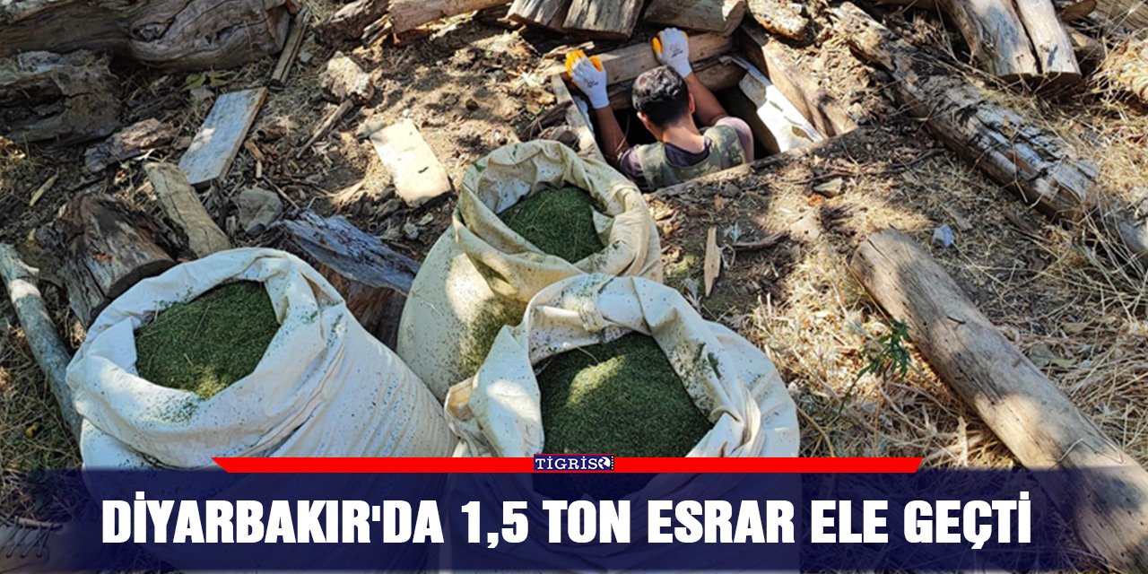 Diyarbakır'da 1,5 ton esrar ele geçti