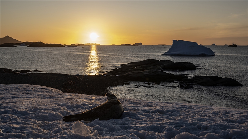 Antarktika'da şort giymesine sebep olan sıcaklıklara ilişkin araştırma yayımlandı