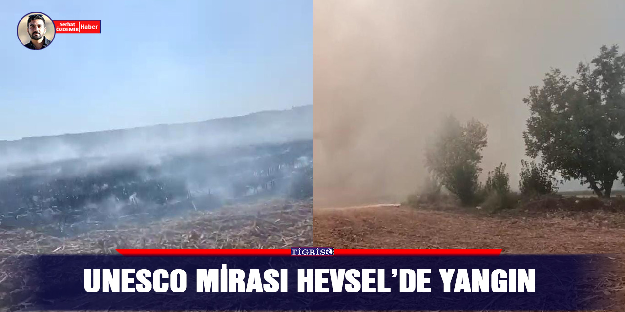 VİDEO - UNESCO mirası Hevsel’de yangın