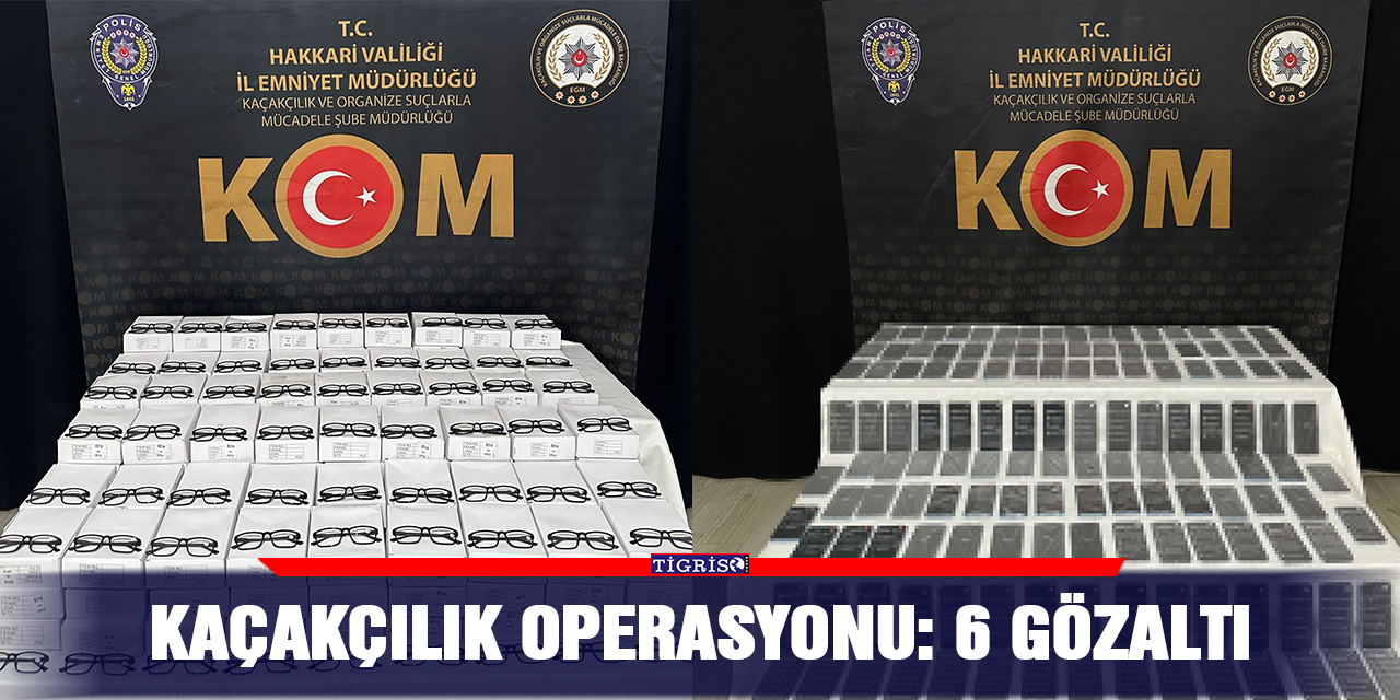 Kaçakçılık operasyonu: 6 gözaltı
