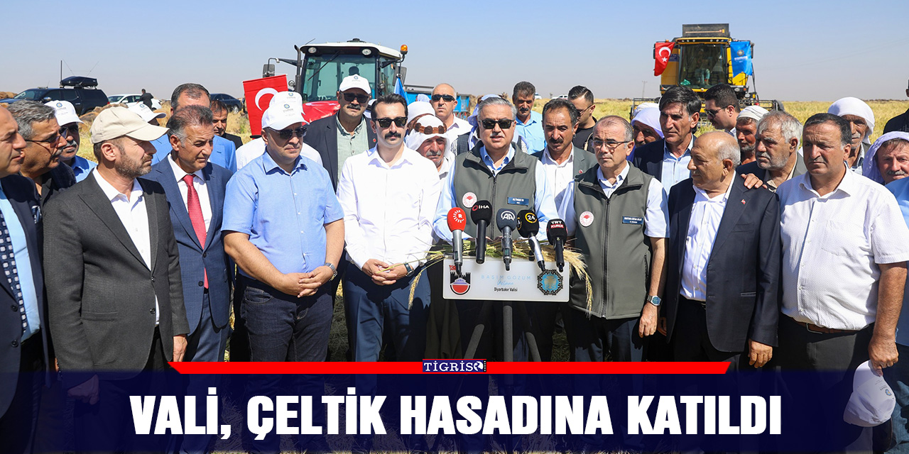 Vali, çeltik hasadına katıldı