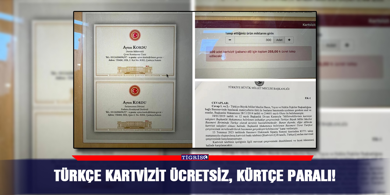 Türkçe kartvizit ücretsiz, Kürtçe paralı!