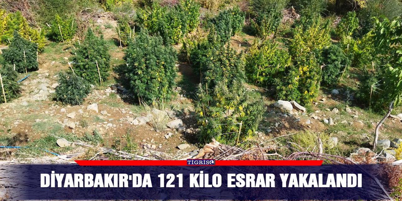 Diyarbakır'da 121 kilo esrar yakalandı