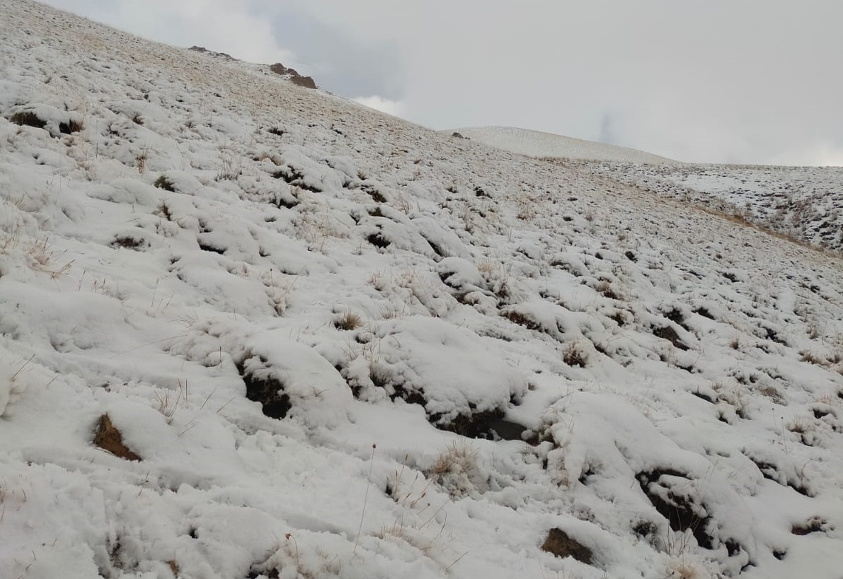 Başkale'nin yüksek kesimleri beyaza büründü