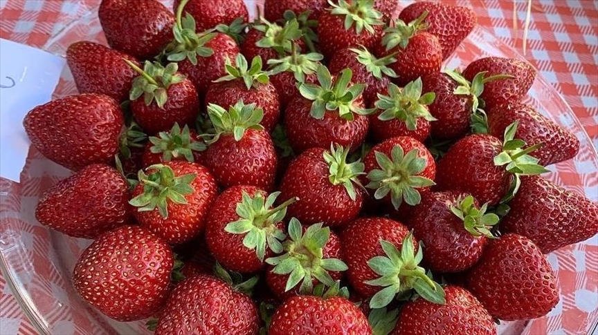 İskilip çileği tescillendi