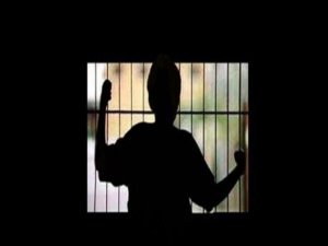 Hükümlü ve engellilere hibe desteği