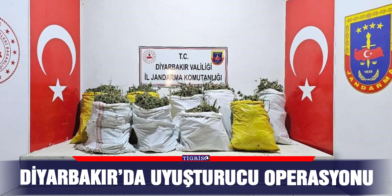 Diyarbakır’da uyuşturucu operasyonu