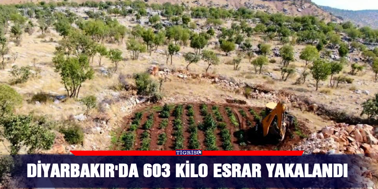 Diyarbakır'da 603 kilo esrar yakalandı