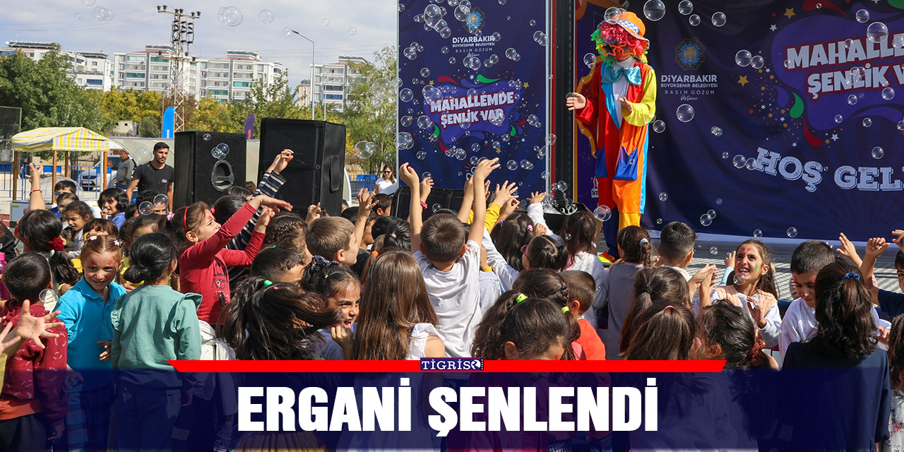 Ergani şenlendi