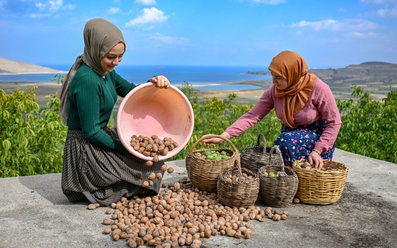 Kadınlar topluyor, kooperatif satıyor