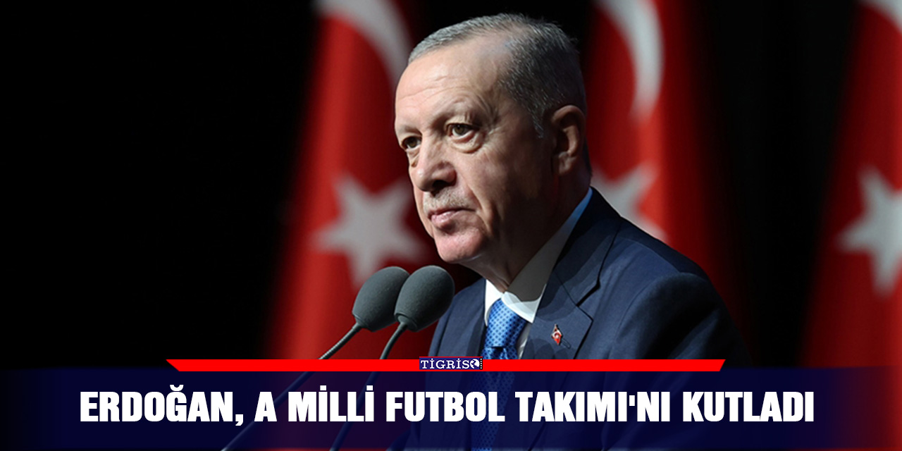 Erdoğan, A Milli Futbol Takımı'nı kutladı