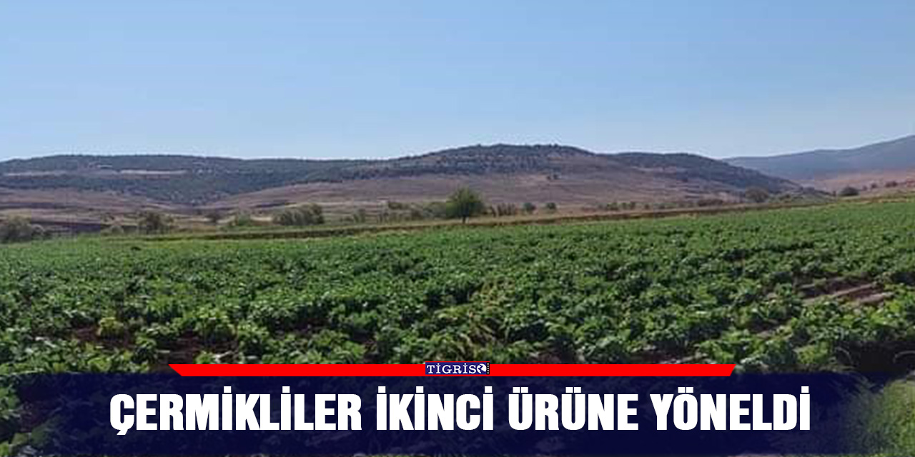 Çermikliler ikinci ürüne yöneldi