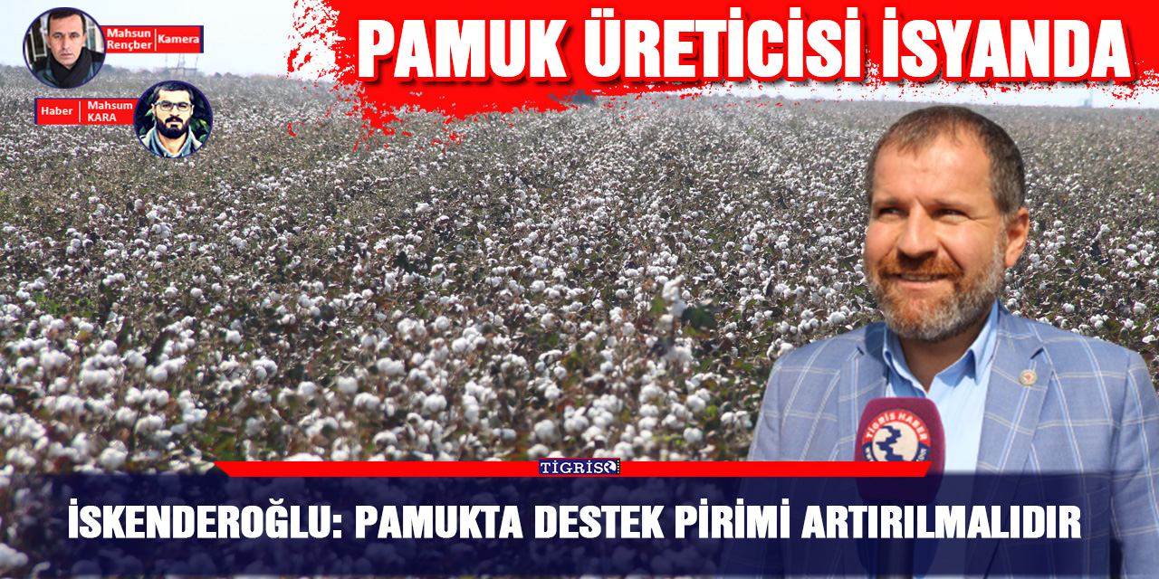 VİDEO - İskenderoğlu: Pamukta destek pirimi artırılmalıdır