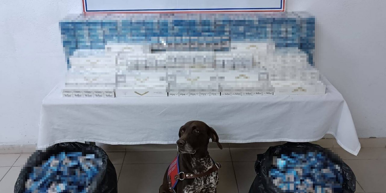 Kaçak akaryakıt ve sigara ele geçirildi