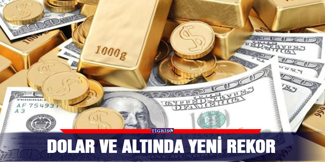 Dolar ve altında yeni rekor
