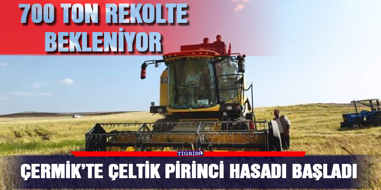 Çermik’te çeltik pirinci hasadı başladı