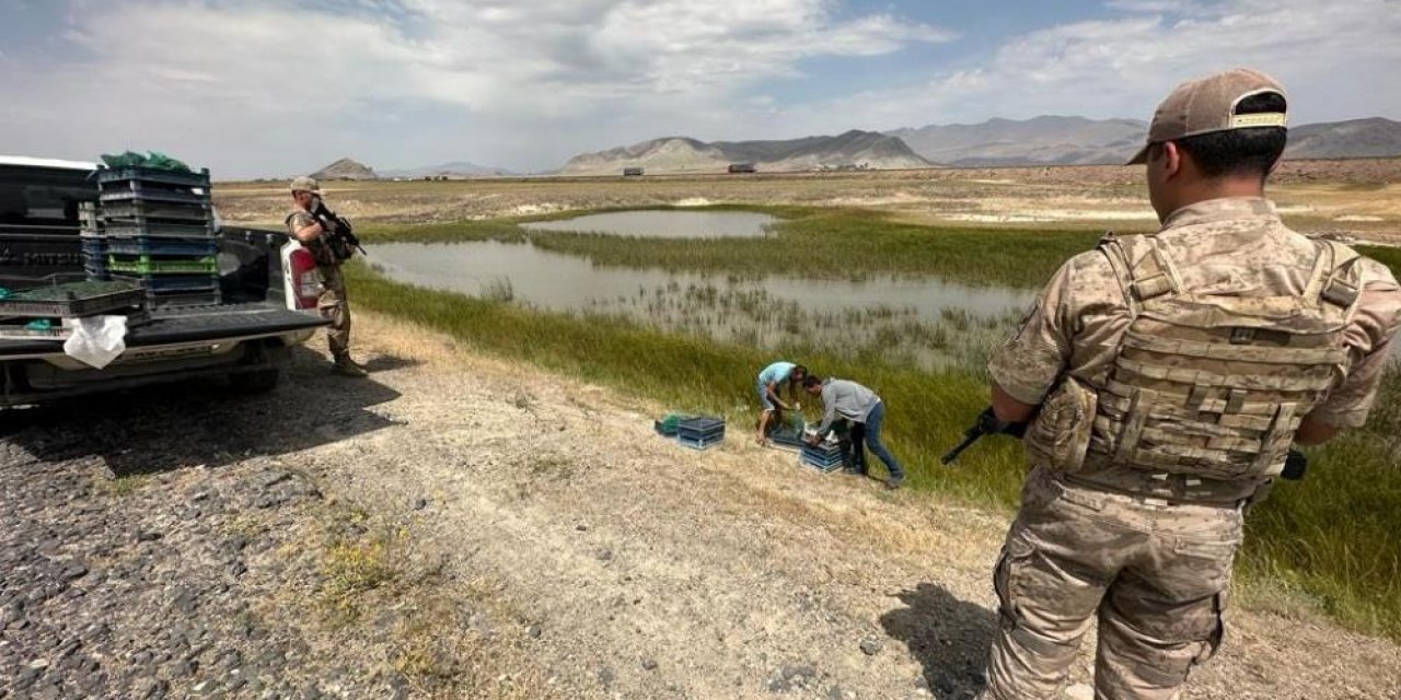 Kurbağa avcılarına rekor ceza verildi