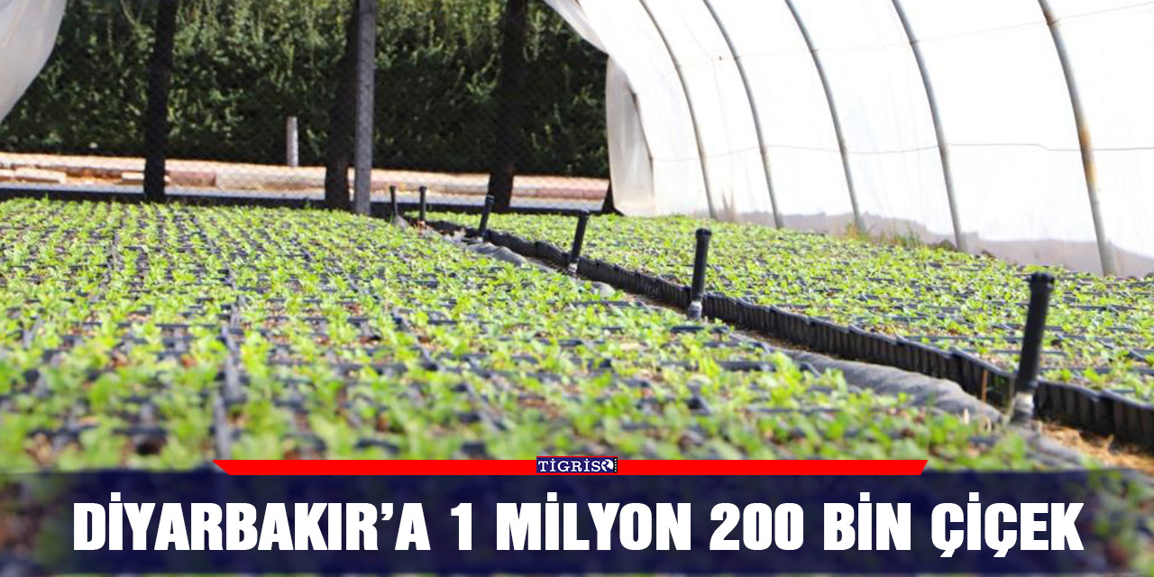 Diyarbakır’a 1 milyon 200 bin çiçek