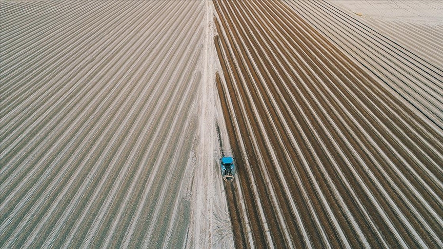 Tarımsal girdi fiyat endeksi arttı