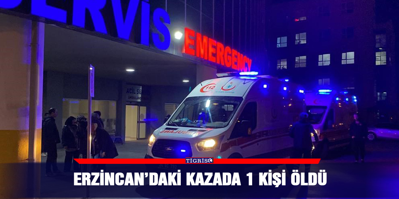 Erzincan’daki kazada 1 kişi öldü