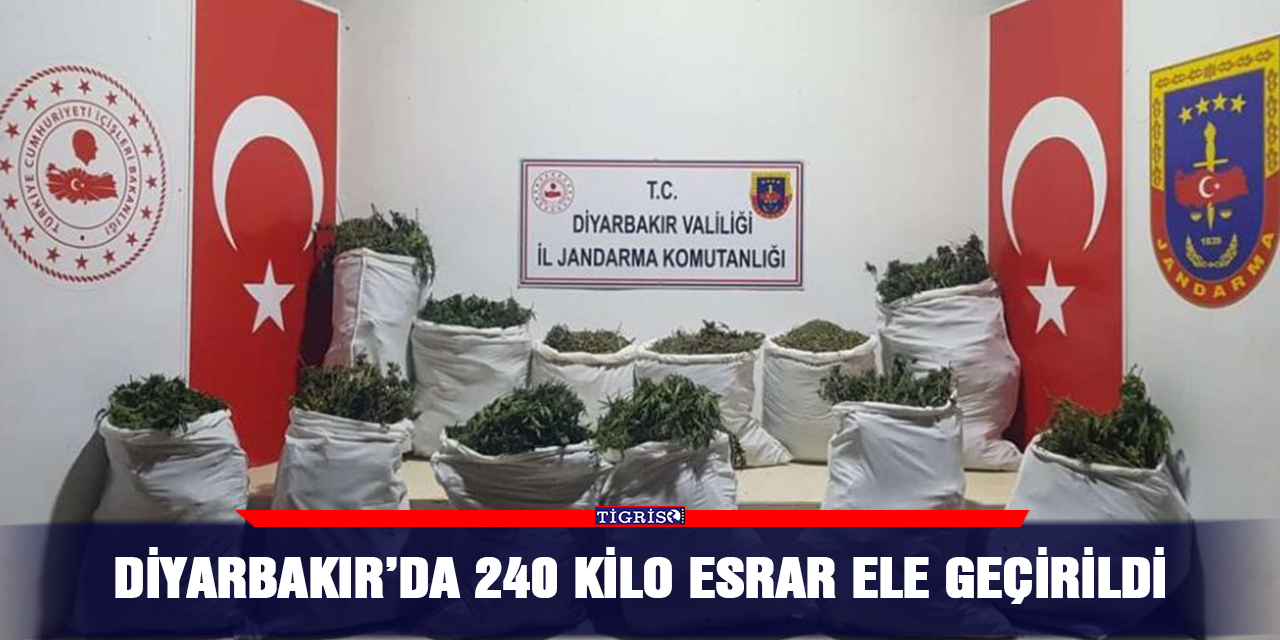 Diyarbakır’da 240 kilo esrar ele geçirildi