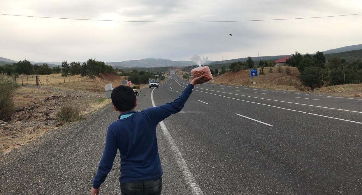 Okul harçlığı için yol kenarında ‘alıç’ satıyorlar