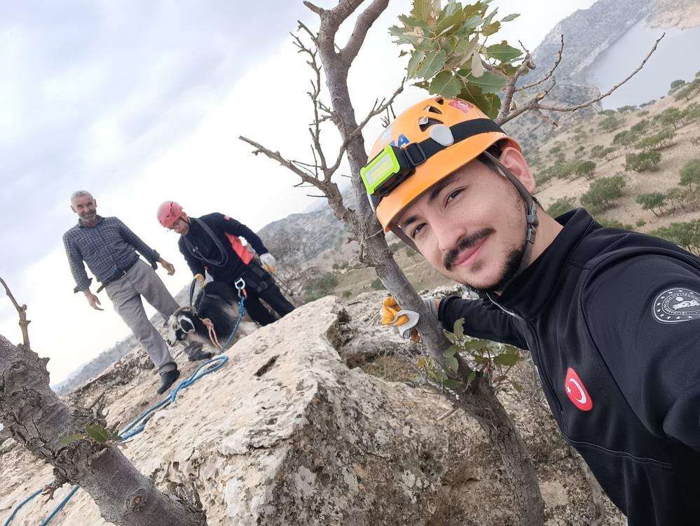 AFAD ekipleri keçiler için seferber oldu