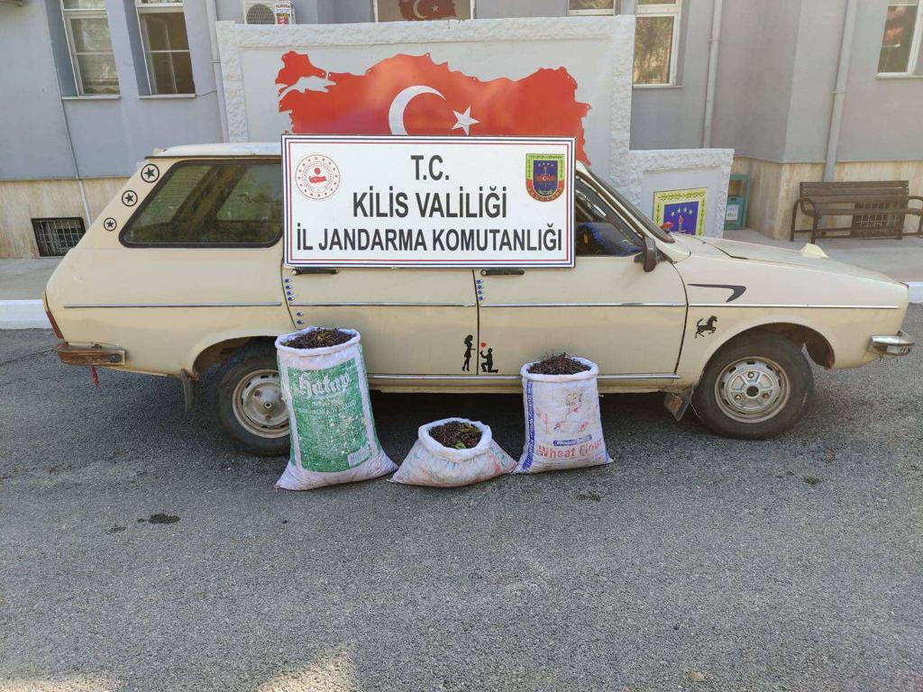 Kilis'te 1 hırsızlık şüphelisi gözaltına alındı