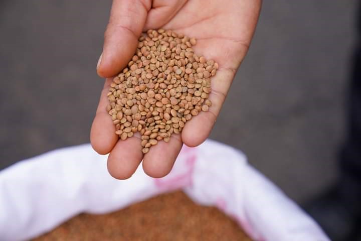 Çermik’te mercimek ilgisi