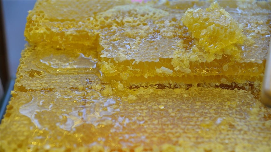 Türkiye’de üretilen bal yılın 9 ayında 52 ülkede alıcı buldu