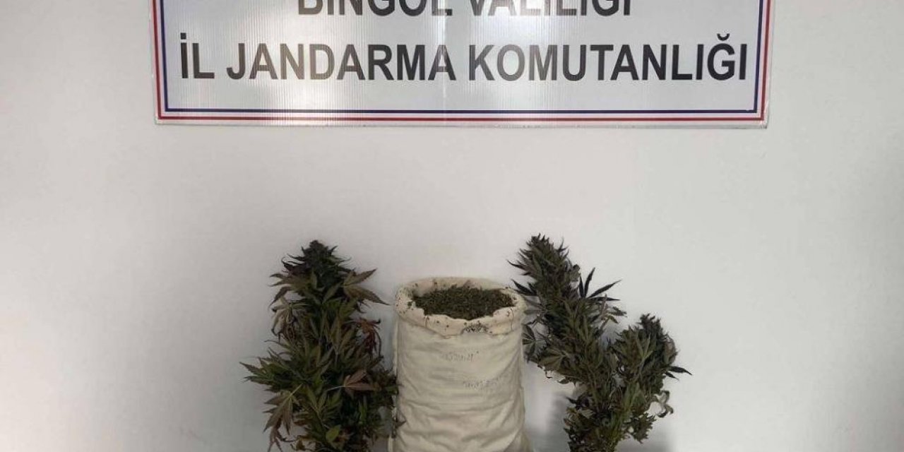 Bingöl’de uyuşturucu operasyonu