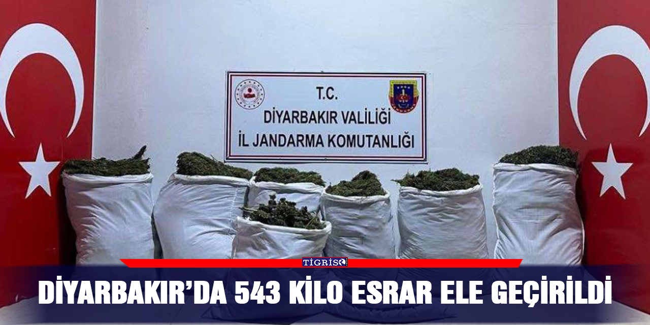 Diyarbakır’da 543 kilo esrar ele geçirildi