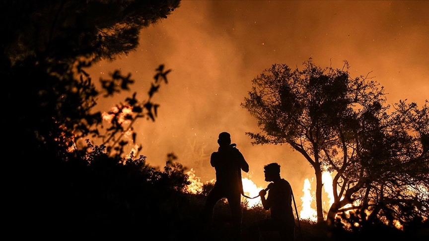9 ayda 2 bin 197 orman yangınına müdahale edildi