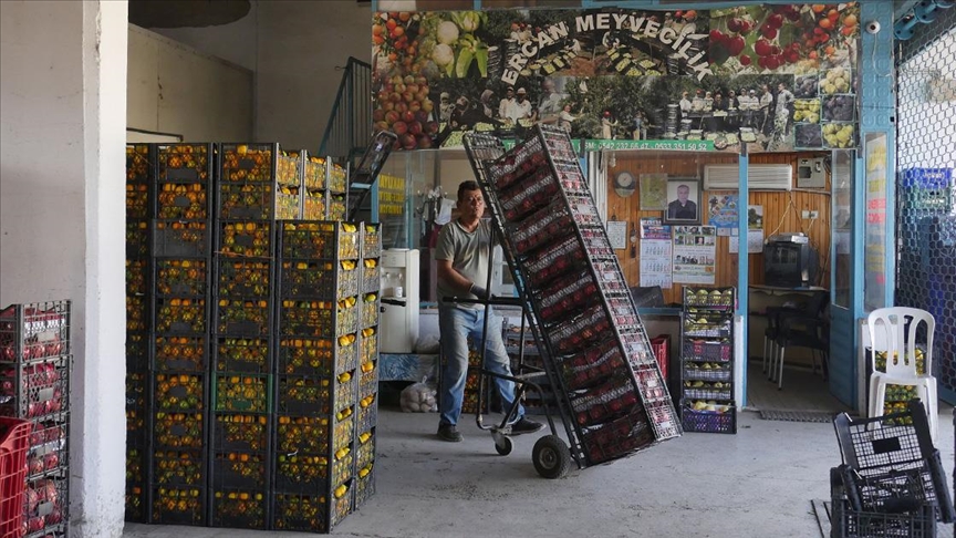 Nar ağaçları ilçe ekonomisine katkı sağlıyor