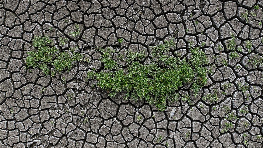 İklim değişikliği ve tarımda adaptasyon politikası