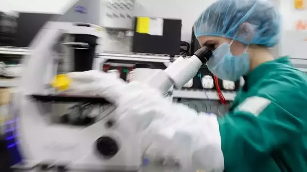 Fareler üzerinde "nanoparçacık"la yapılan radyoterapiyle kanserli hücreler azaltıldı